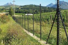 Fortinet Betafence žogs 4